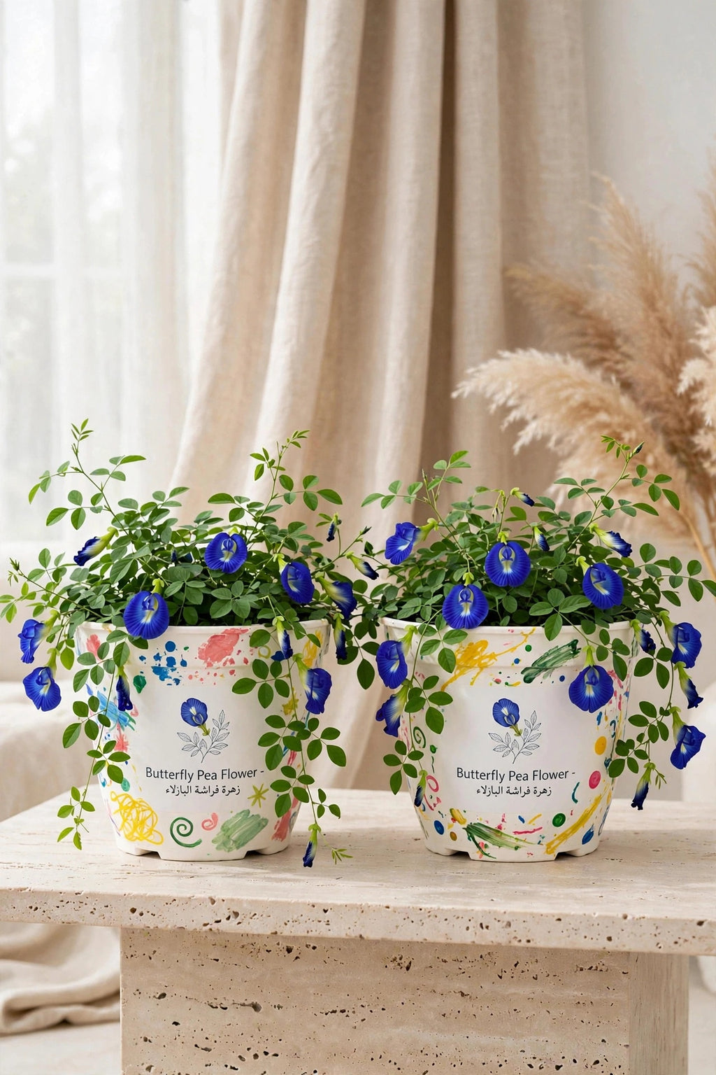 Paint & Plant Box