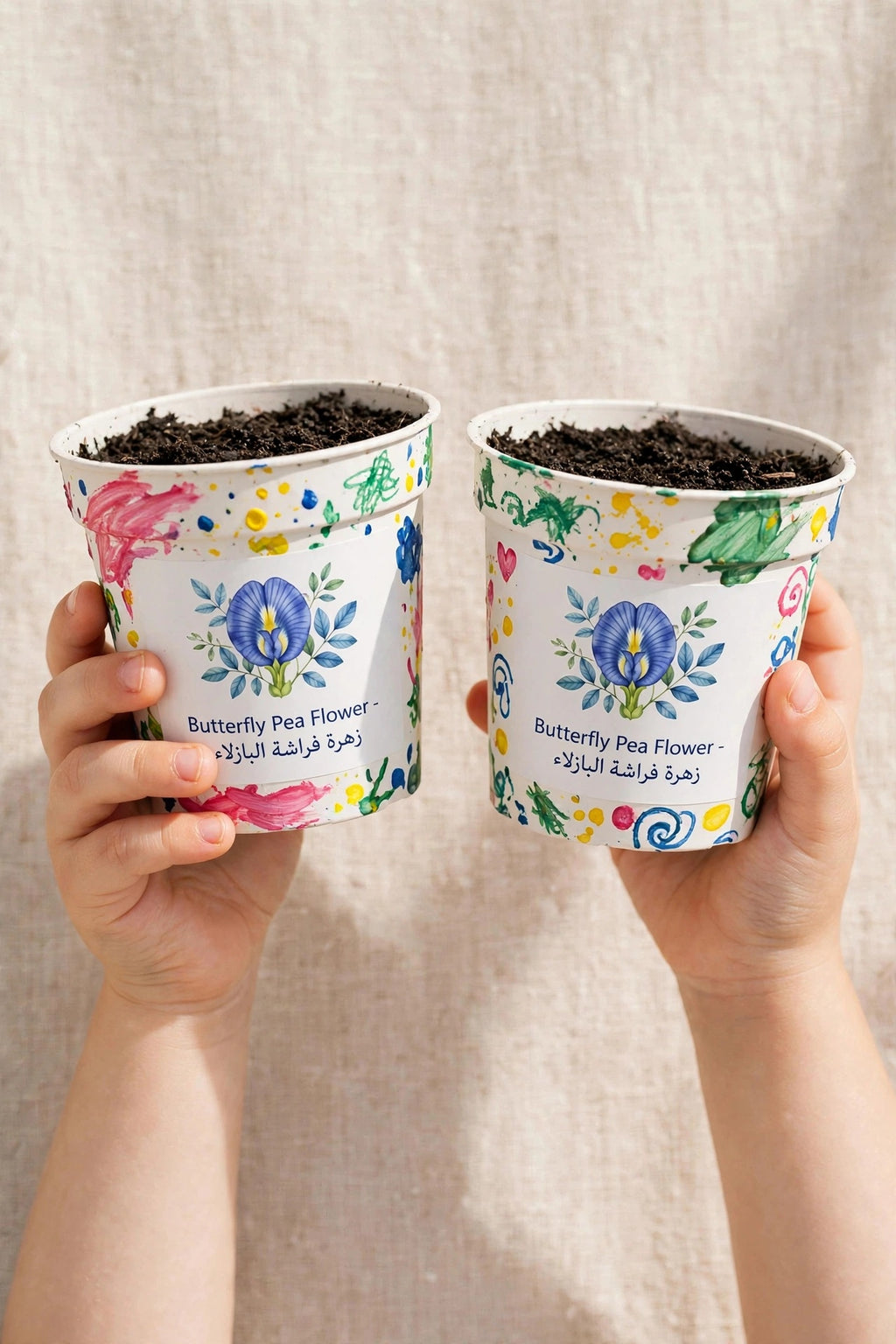 Paint & Plant Box