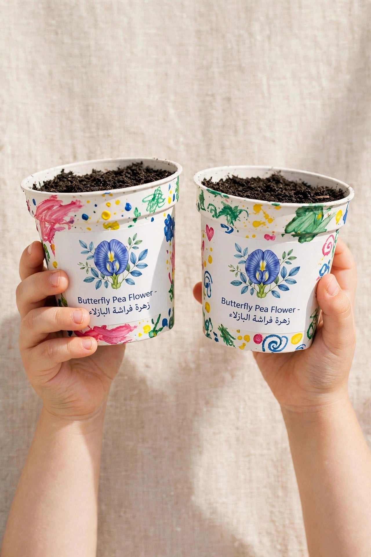 Paint & Plant Box