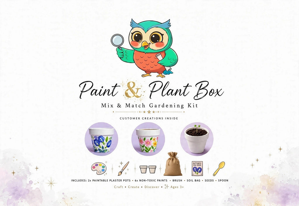Paint & Plant Box